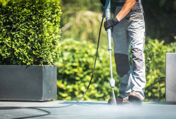 Best Rust Removal  in Ellisburg, NJ